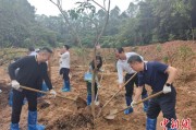 沧州广州已打造首批32处“绿美宗教活动场所”