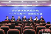 沧州贵安新区：突出算力优势布局 构建中国领先的智算高地